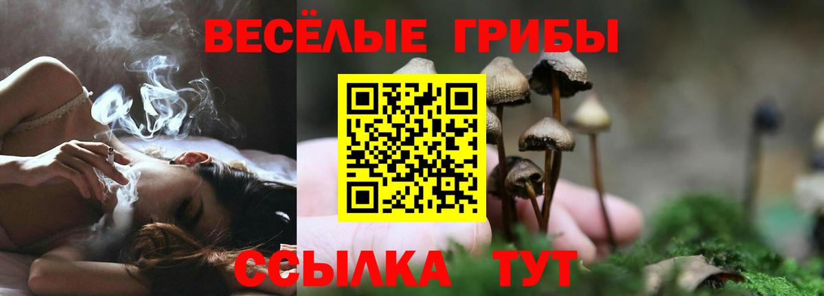Псилоцибиновые грибы прущие грибы  Вход с VPN  Белогорск 